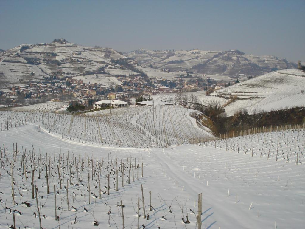 Agriturismo Ai Piacentini Santo Stefano Belbo Extérieur photo